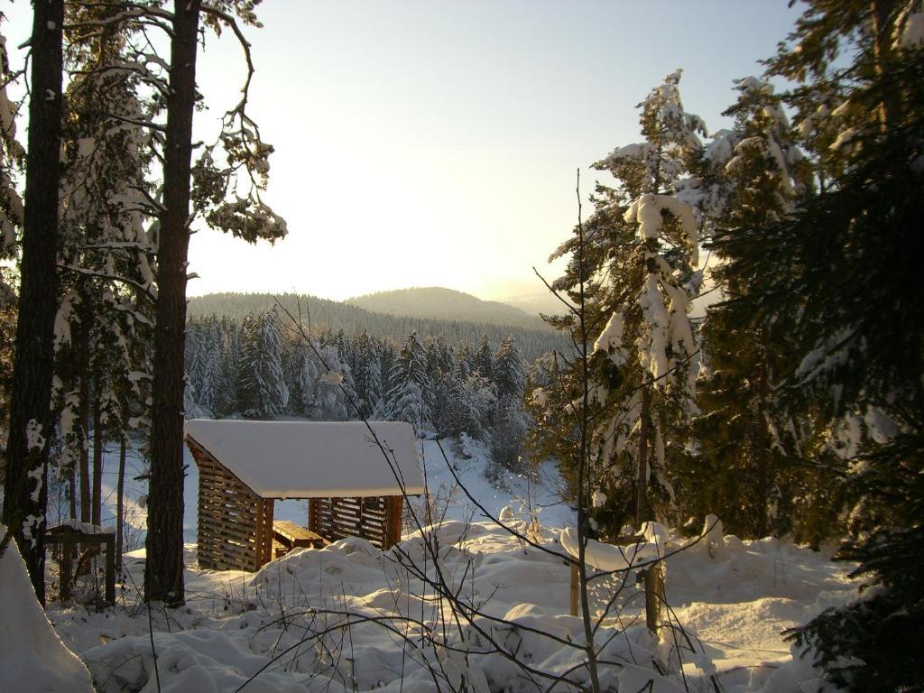 Pension Casa Selva Trin 외부 사진
