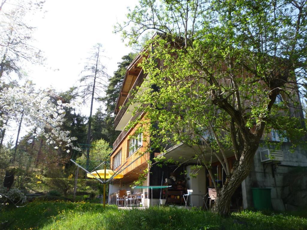Pension Casa Selva Trin 외부 사진